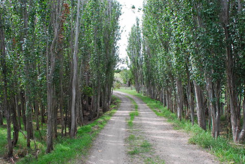 Back Valley Farmstay Bed And Breakfast - Darwin Holiday 2