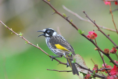 Back Valley Farmstay Bed And Breakfast - Darwin Holiday 16