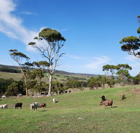 Lisieux Farm Bed and Breakfast - Darwin Holiday
