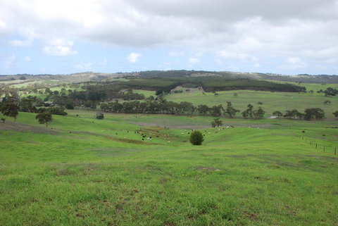 Back Valley Farmstay Bed And Breakfast - Darwin Holiday 15