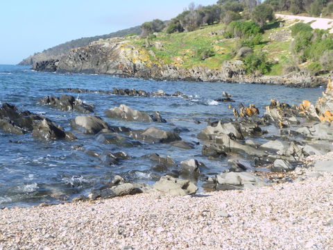 Ashendens At Penneshaw - Darwin Holiday 2