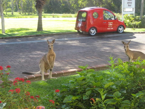 Aston Motel Yamba - Darwin Holiday 6