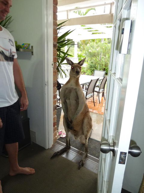 Aston Motel Yamba - Darwin Holiday 10