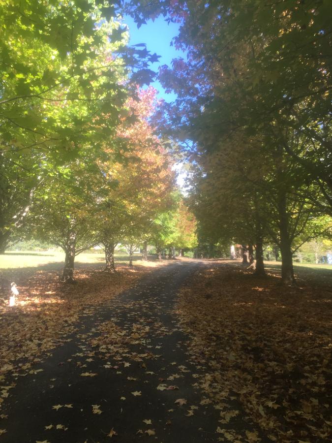 Bonville NSW Darwin Holiday