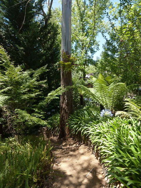 Aldgate Creek Cottage Bed And Breakfast - Darwin Holiday 27