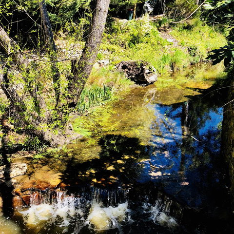 Aldgate Creek Cottage Bed And Breakfast - Darwin Holiday 22