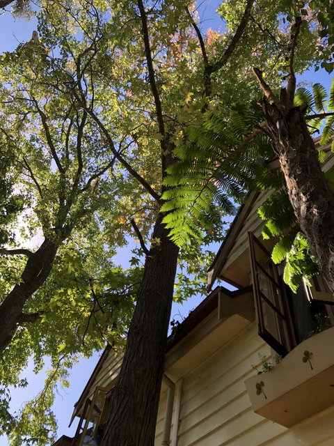 Aldgate Creek Cottage Bed And Breakfast - Darwin Holiday 8