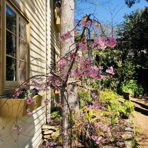 Aldgate Creek Cottage Bed And Breakfast - Darwin Holiday 19