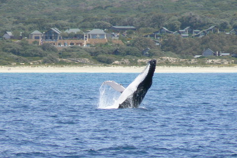 Pullman Bunker Bay Resort Margaret River - Darwin Holiday 25