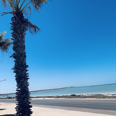 Bay Lodge - Darwin Holiday 8