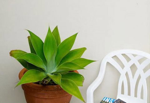 Sea & Soul Beachside Apartments - Darwin Holiday 9