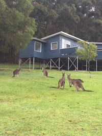 Book Denmark Accommodation Vacations Darwin Holiday Darwin Holiday