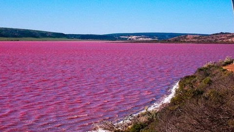 Kanga Cottage - Darwin Holiday 38