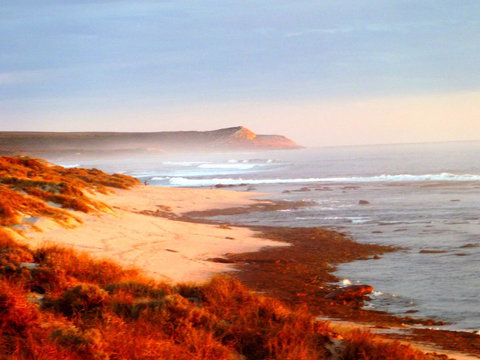 Kanga Cottage - Darwin Holiday 26