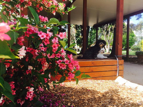 Armidale Tourist Park - Darwin Holiday 34