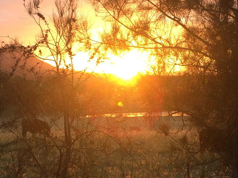 Grapevines Boutique Accommodation - Darwin Holiday 27