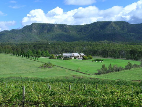 Grapevines Boutique Accommodation - Darwin Holiday 23