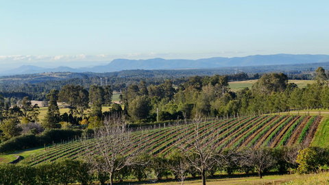 Grapevines Boutique Accommodation - Darwin Holiday 21