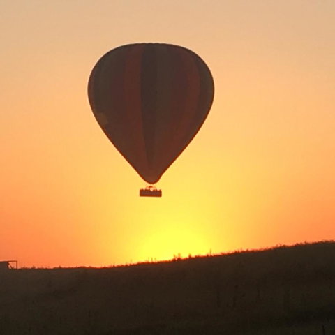 Grapevines Boutique Accommodation - Darwin Holiday 13