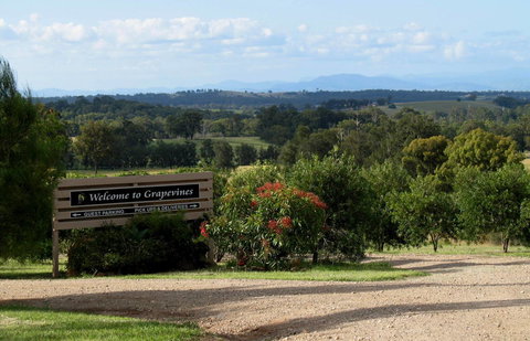 Grapevines Boutique Accommodation - Darwin Holiday 15