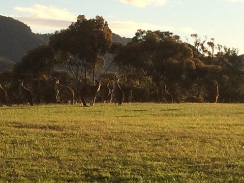 Grapevines Boutique Accommodation - Darwin Holiday 26