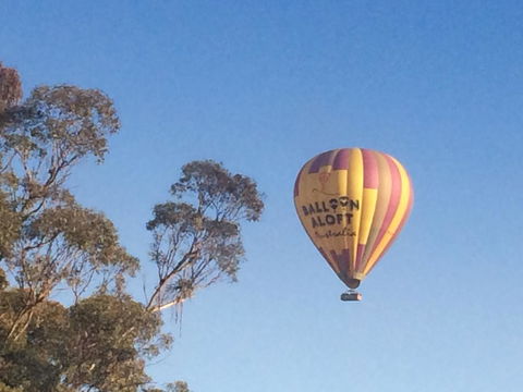 Grapevines Boutique Accommodation - Darwin Holiday 12