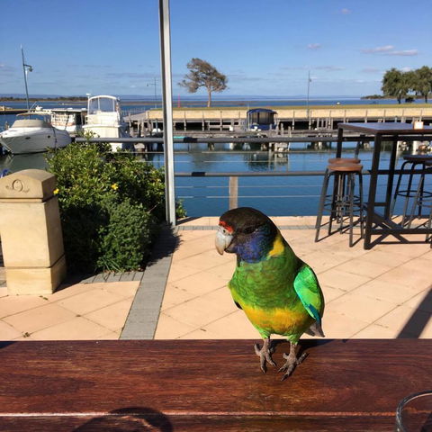 Mandurah Quay Resort - Darwin Holiday 32