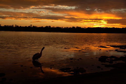 Dungowan Holiday Accommodation - Darwin Holiday 31