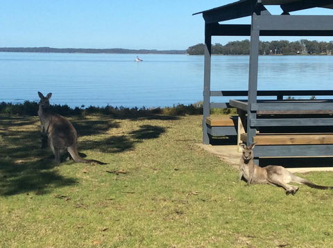 Dungowan Holiday Accommodation - Darwin Holiday 33