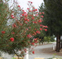 The Heights Bed  Breakfast - Darwin Holiday