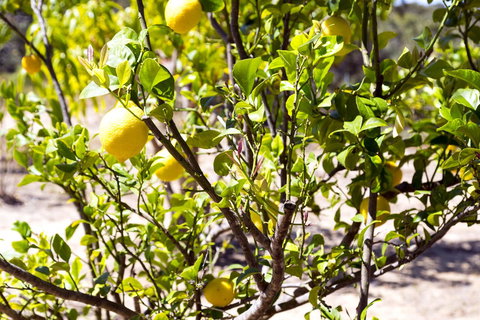 The Heights Bed & Breakfast - Darwin Holiday 17