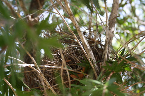 The Heights Bed & Breakfast - Darwin Holiday 7