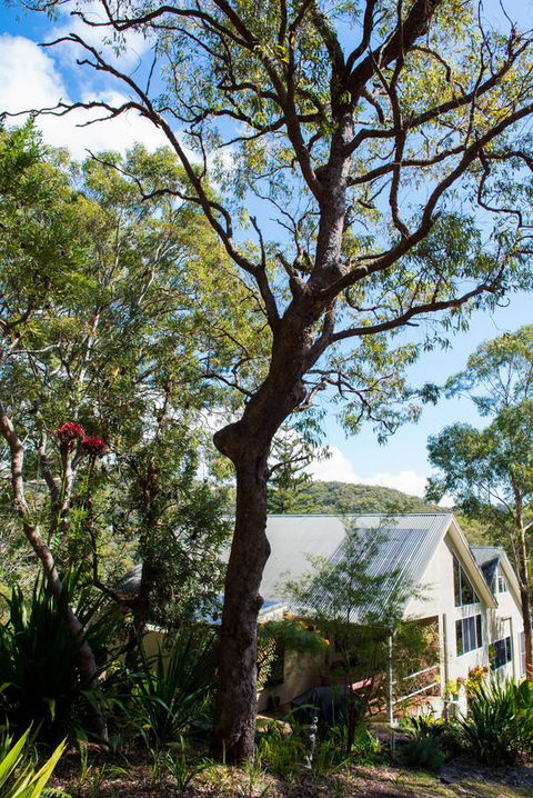 Nelson Bay Bed & Breakfast - Darwin Holiday 42