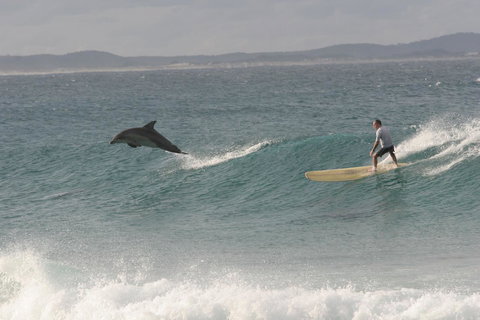 Crescent Head Spa Villa - Darwin Holiday 22