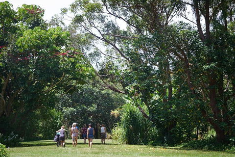 Ingenia Holidays Byron Bay - Darwin Holiday 11