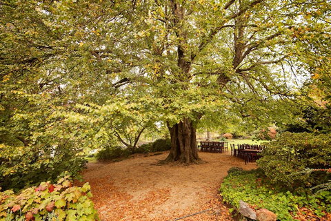 Nesuto Leura Gardens (formerly Waldorf Leura Gardens Resort) - Darwin Holiday 1