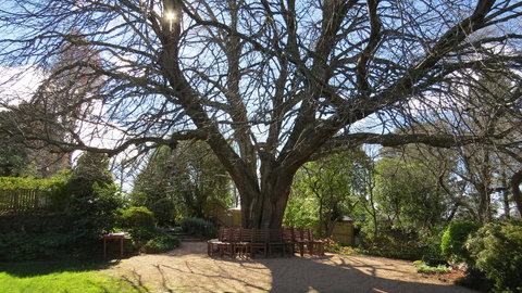 Nesuto Leura Gardens (formerly Waldorf Leura Gardens Resort) - Darwin Holiday 3