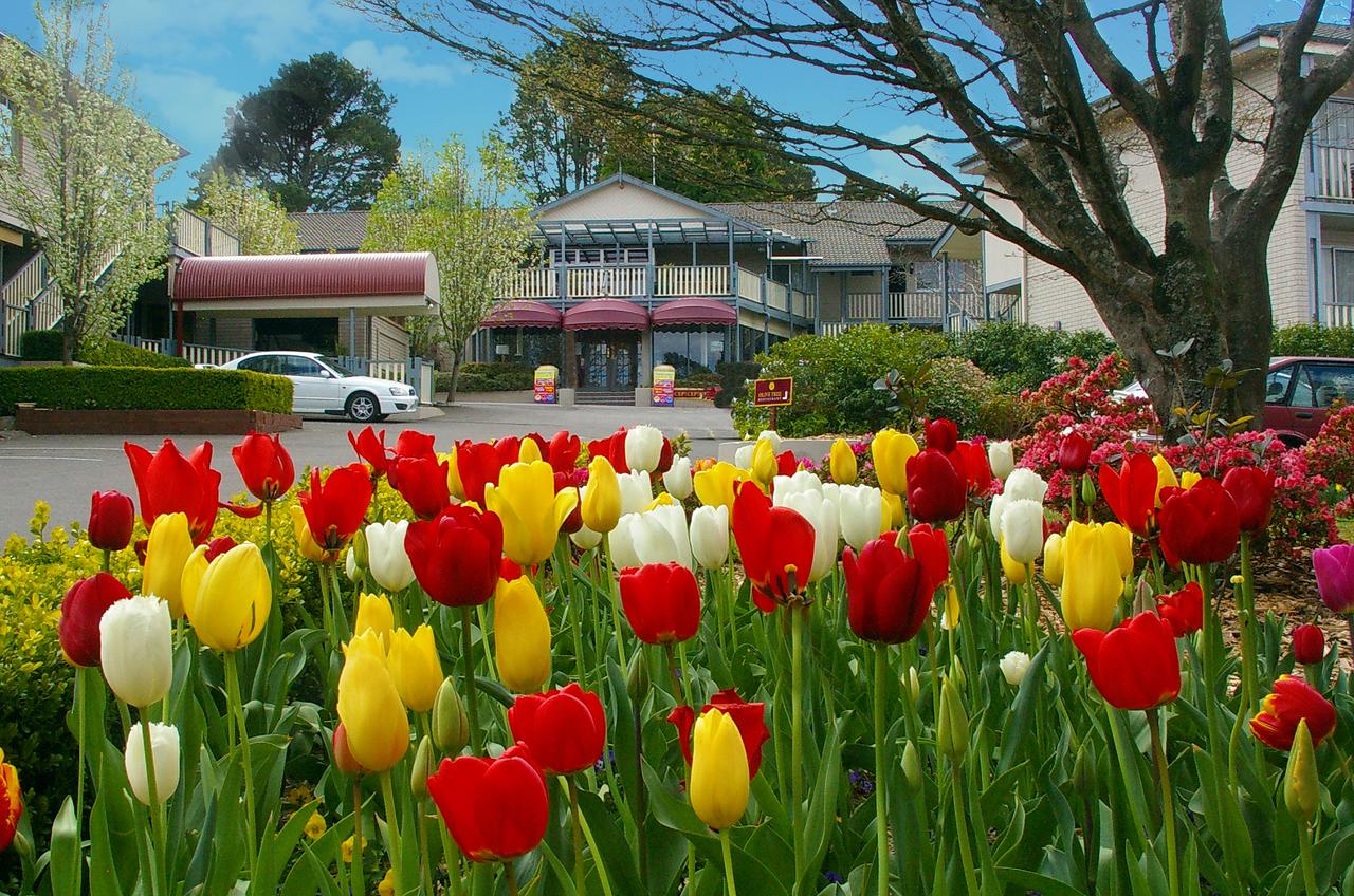 Leura NSW Darwin Holiday