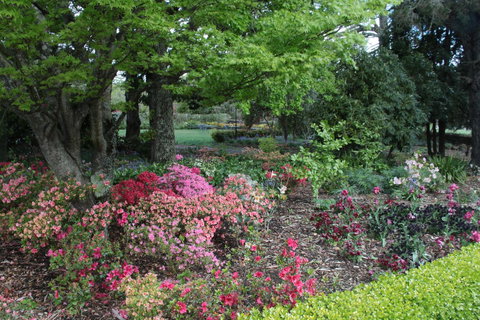 Nesuto Leura Gardens (formerly Waldorf Leura Gardens Resort) - Darwin Holiday 2