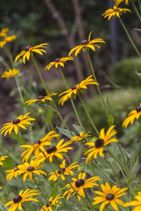 Nesuto Leura Gardens (formerly Waldorf Leura Gardens Resort) - Darwin Holiday 15