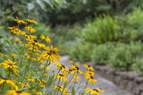 Nesuto Leura Gardens (formerly Waldorf Leura Gardens Resort) - Darwin Holiday 16