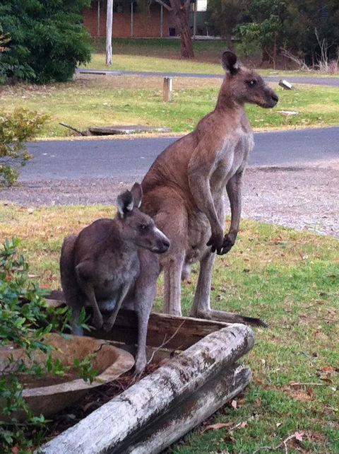 Jetz Bungalow - Darwin Holiday 13
