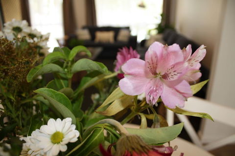 Ocean Breeze At Caba - Darwin Holiday 11