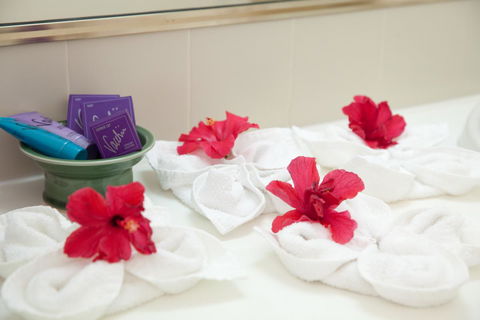 Kempsey Rose Motor Inn - Darwin Holiday 14