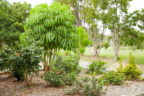 Kempsey Rose Motor Inn - Darwin Holiday 42