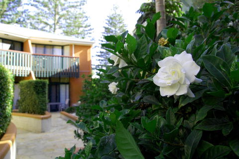 The Crest Byron Bay - Darwin Holiday 29