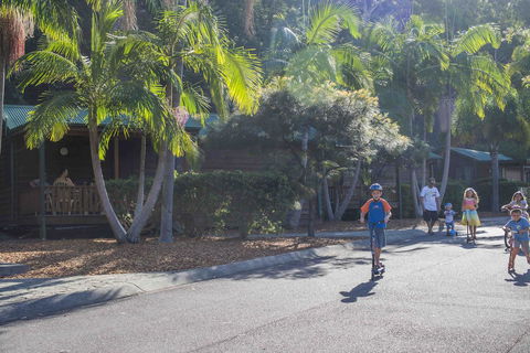 The Palms At Avoca - Darwin Holiday 14