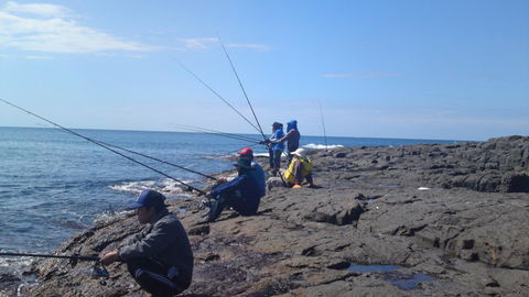 Sweet Spot Shellharbour - Darwin Holiday 13