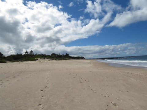 Sweet Spot Shellharbour - Darwin Holiday 15