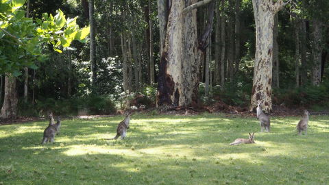 Bundle Hill Cottages - Darwin Holiday 15